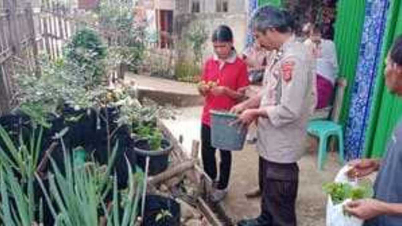 Dorong Ketahanan Pangan, Tanaman Cabai dan Daun Bawang