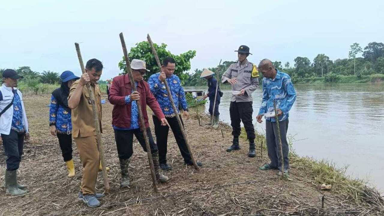 Ini Dia Manfaat Jagung Manis Yang Ditanam Polsek Rantau Alai, Ogan Ilir