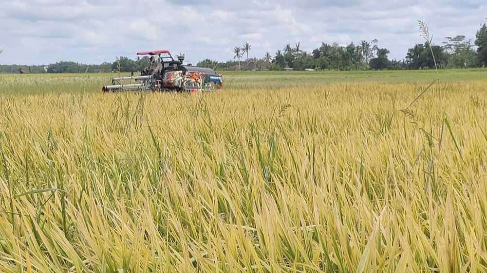 Petani Wajib Tahu! Kesempatan Daftar Pupuk Subsidi 2025 Dibuka Hingga 15 November : Berikut Cara Daftarnya