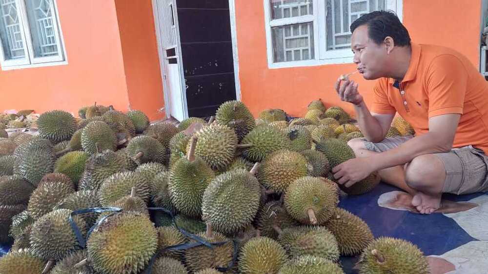 Anda Pecinta Buah Durian Si Raja Buah? Hati-Hati Makan Buah Durian Ada Efek Sampingnya..