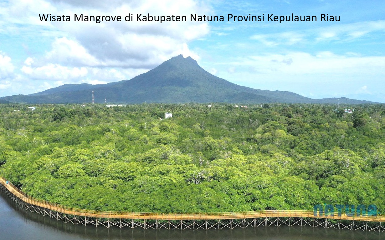 Wisata Mangrove Semitan di Natuna: Perpaduan Keindahan Alam dan Kepedulian Masyarakat