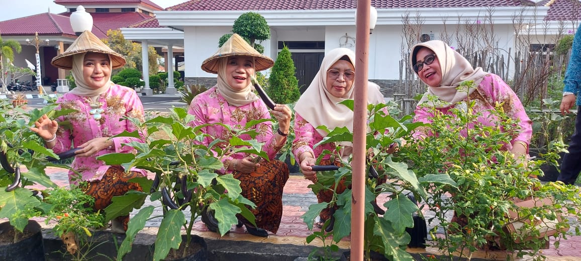 Sebelum Angkat Kaki dari Rumdin, Isteri Wako dan Wawako Panen Terong