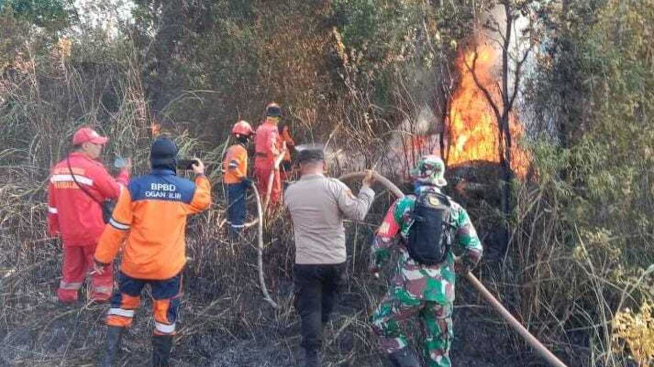 Dua Hektar Lahan di Ogan Ilir Kembali Terbakar, Polisi Masih Selidiki Sumber Api