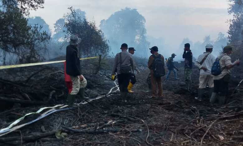 Lahan Gambut Kosong di Desa Pulai Gading Bayung Lencir Terbakar