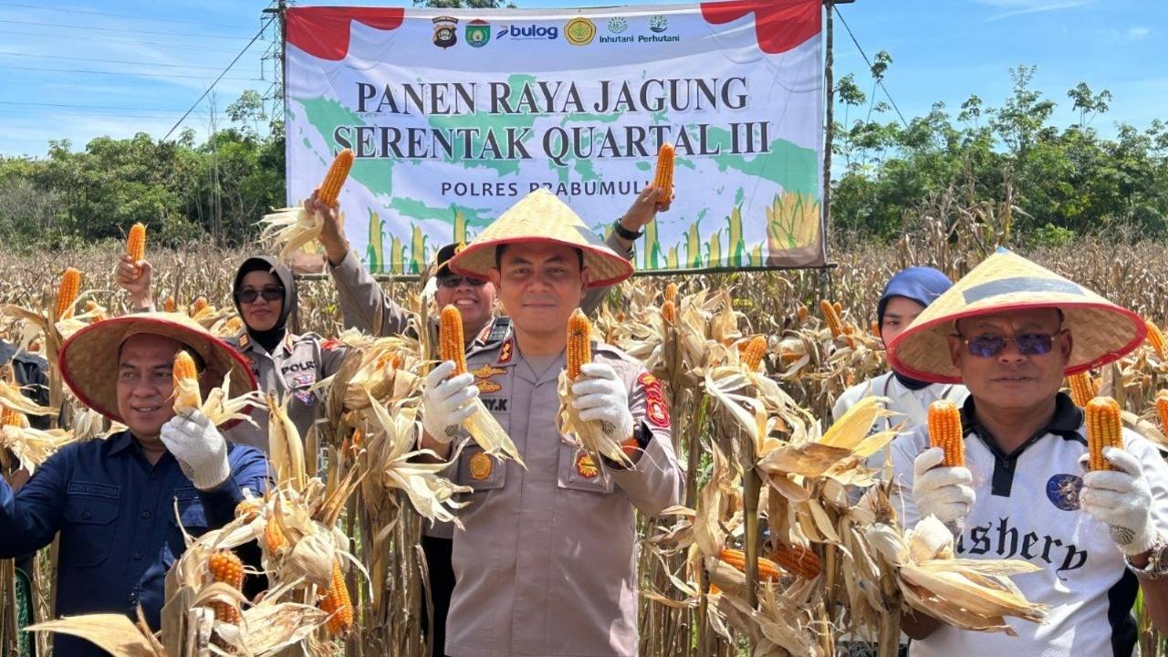 Polres Prabumulih dan Pemkot Gelar Panen Raya Jagung Quartal III, Wujudkan Komitmen Ketahanan Pangan Nasional
