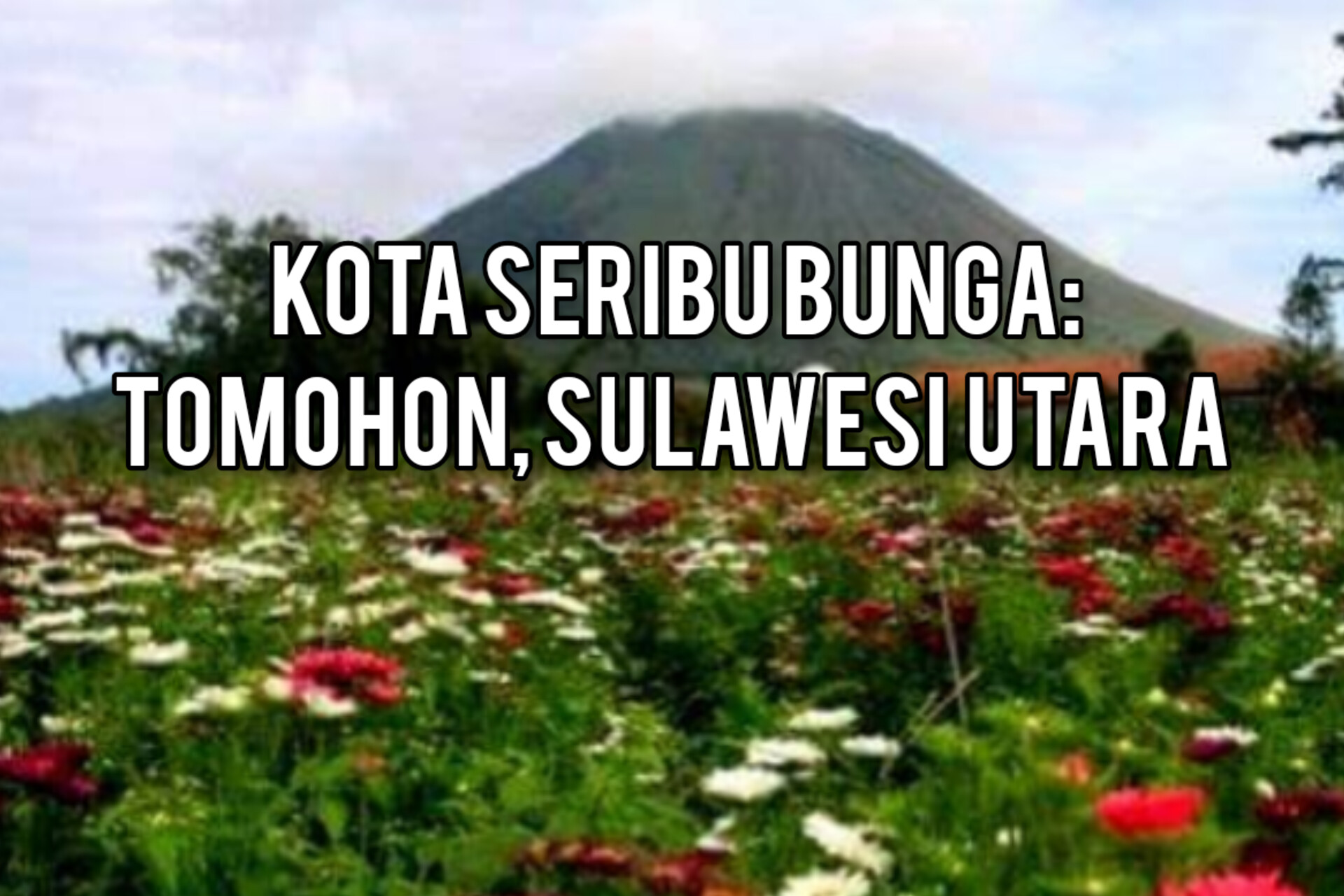 Kota Bunga Tomohon: Taman Cantik Berkelas Internasional di Sulawesi Utara