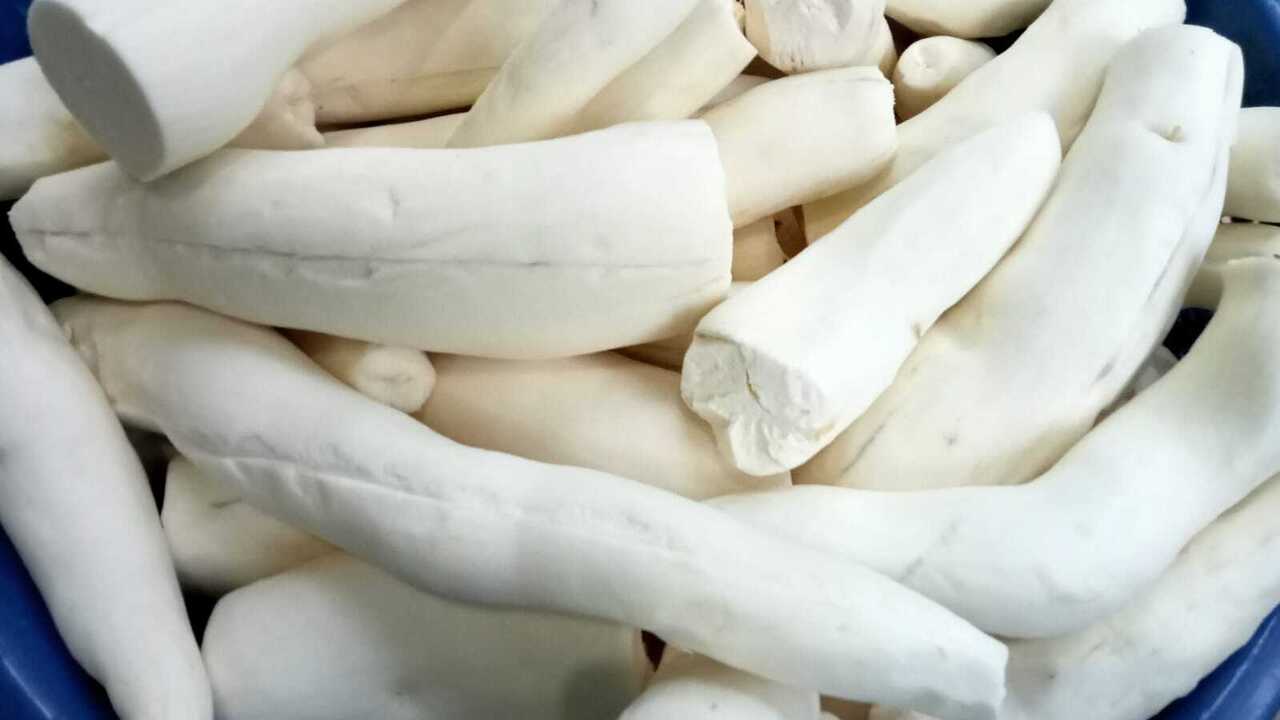 Singkong Si Ubi Kayu Menjaga Kesehatan Kulit dan Cegah Penuaan Dini