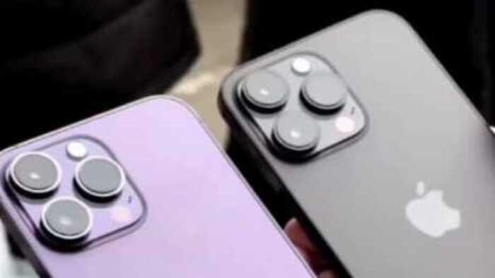 iPhone 14 Max Pro, Hp yang Memiliki Fitur Inovatif  dengan Tampilan Unik