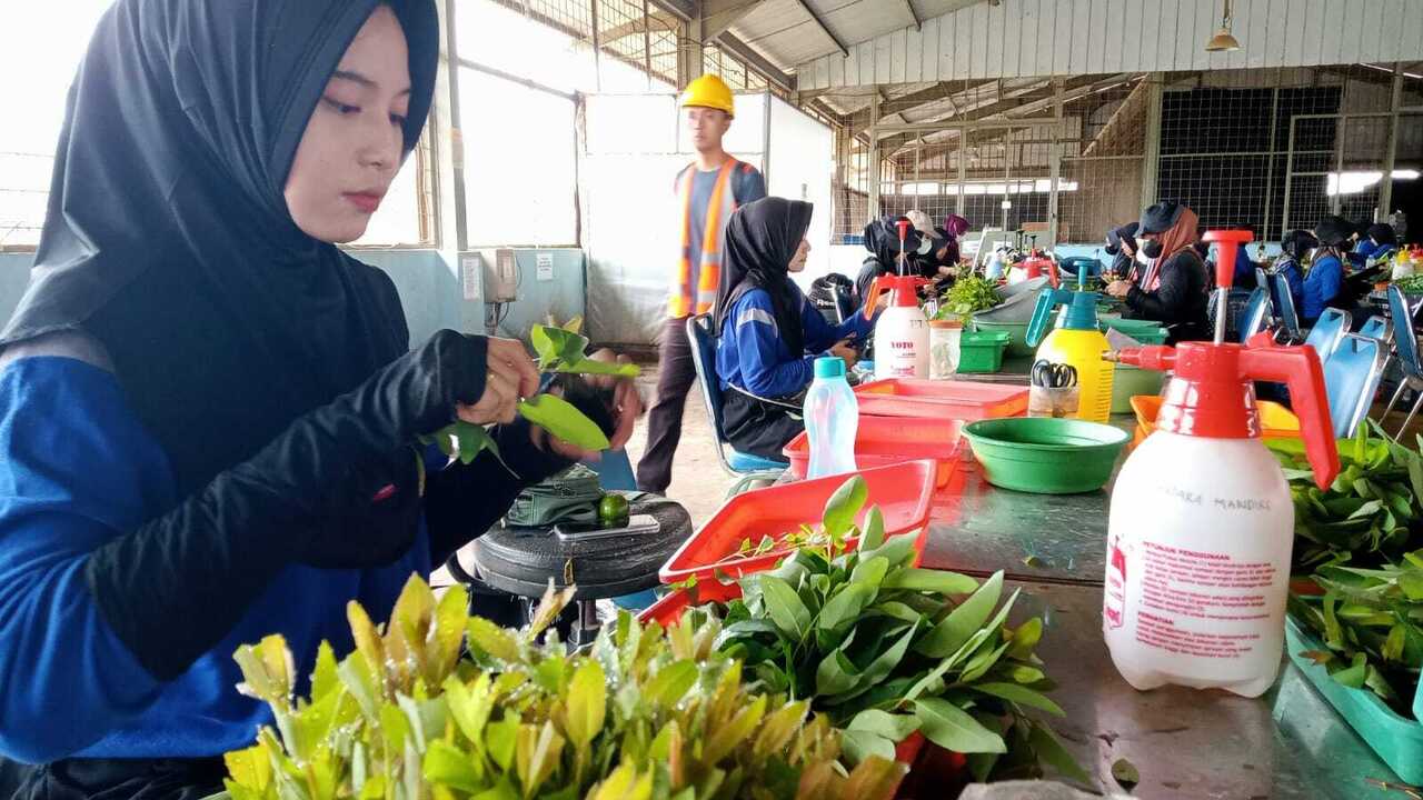 Pengelolaan HTI Berkelanjutan dengan Penguatan Management Penanggulangan Karhutla yang Terintegrasi