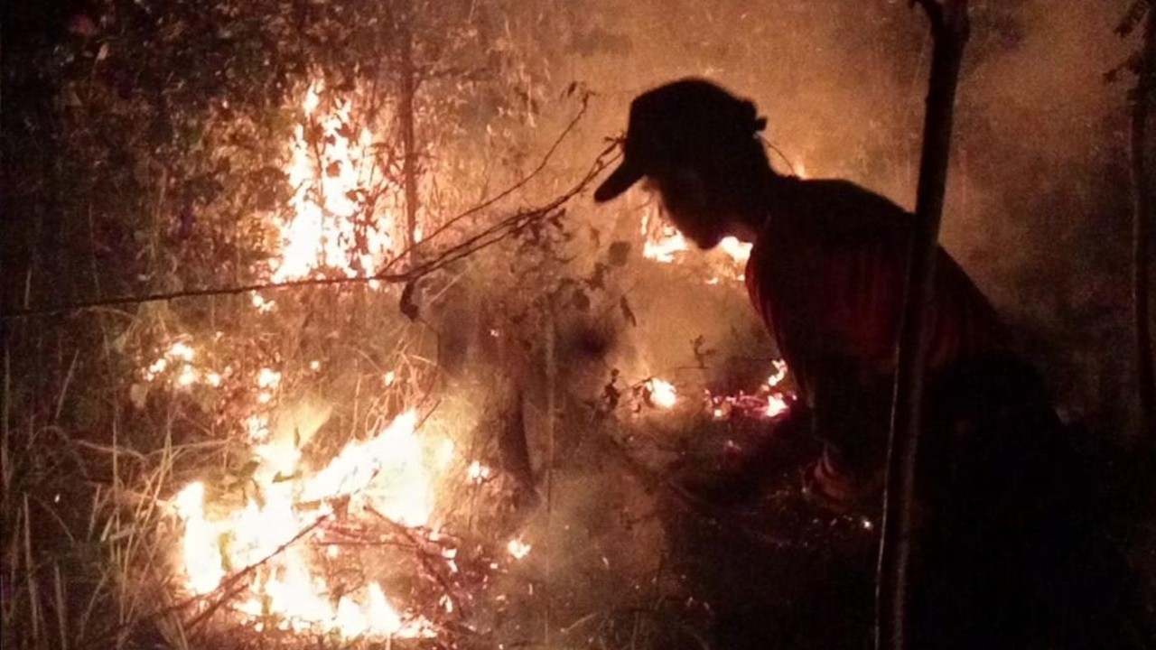 Sehari Empat Hektare Lahan Terbakar