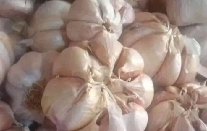 7 Manfaat Luar Biasa dari Konsumsi Bawang Putih untuk Kesehatan