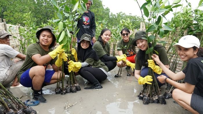 Lakukan Rehabilitasi Ekosistem Karbon Biru, Peringati Hari Mangrove Sedunia