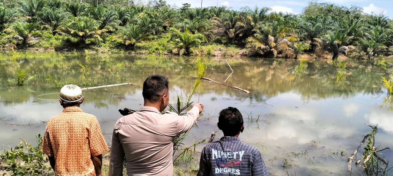 Tragedi Meninggalnya Sudirman (41) Saat Memancing di Rawa-rawa Desa Trikarya