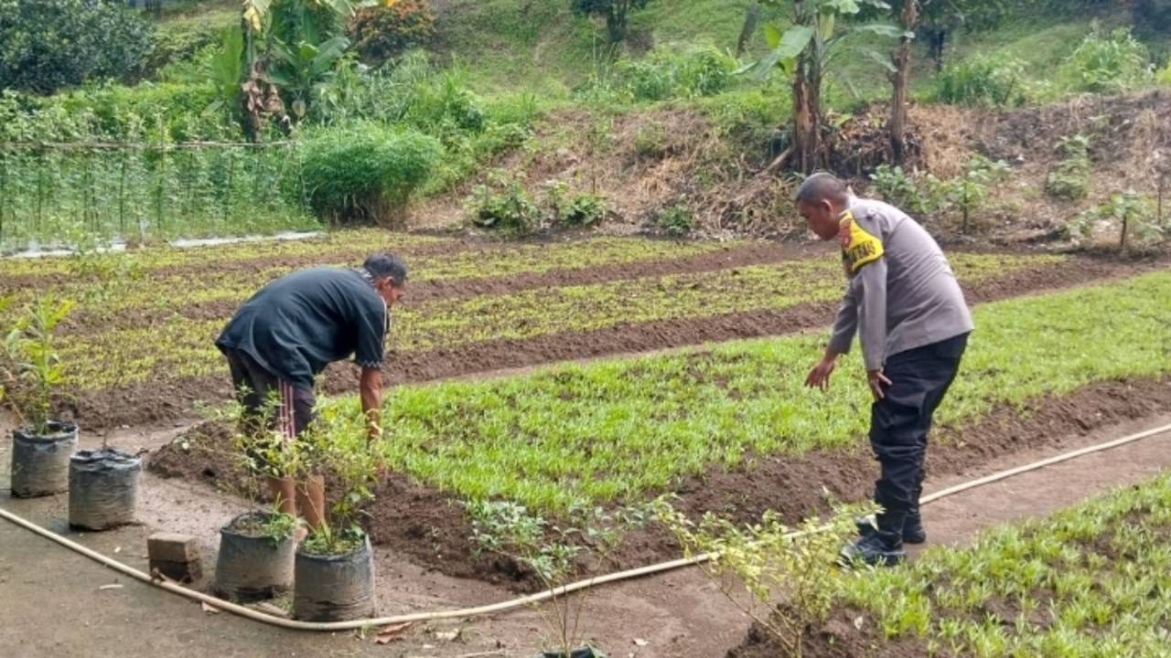 Dorong Pemanfaatan Lahan Produktif 