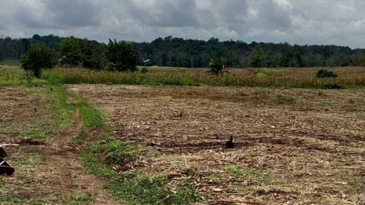 Petani di OKU Kesulitan Dapat Pupuk Bersubsidi