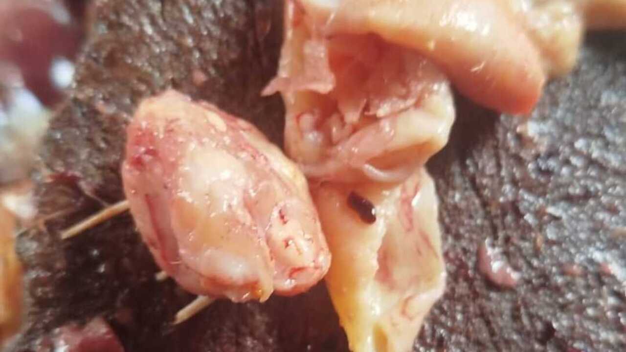 Umpan Alami Murah Meriah, Brutu Ayam dan Usus Ayam Incaran Patin Liar