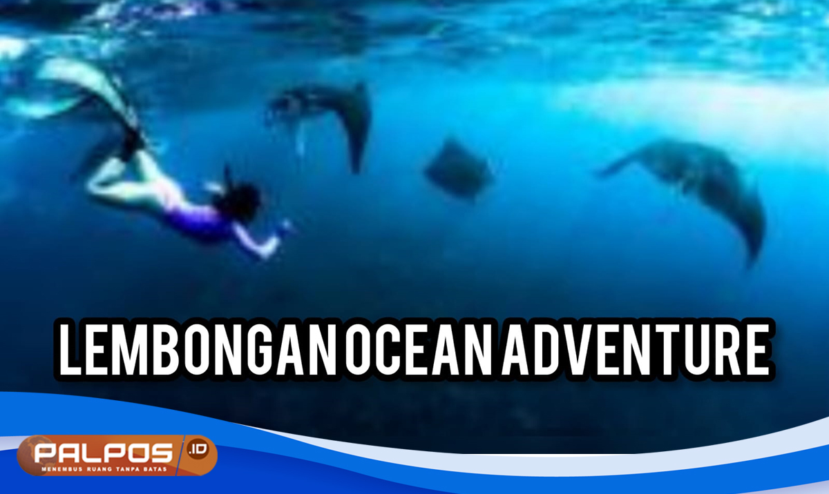 Sebentar Lagi Libur Nataru Nih ! Yuk Berpetualang Menyelam dengan Ikan Pari  di Lembongan Ocean Adventure