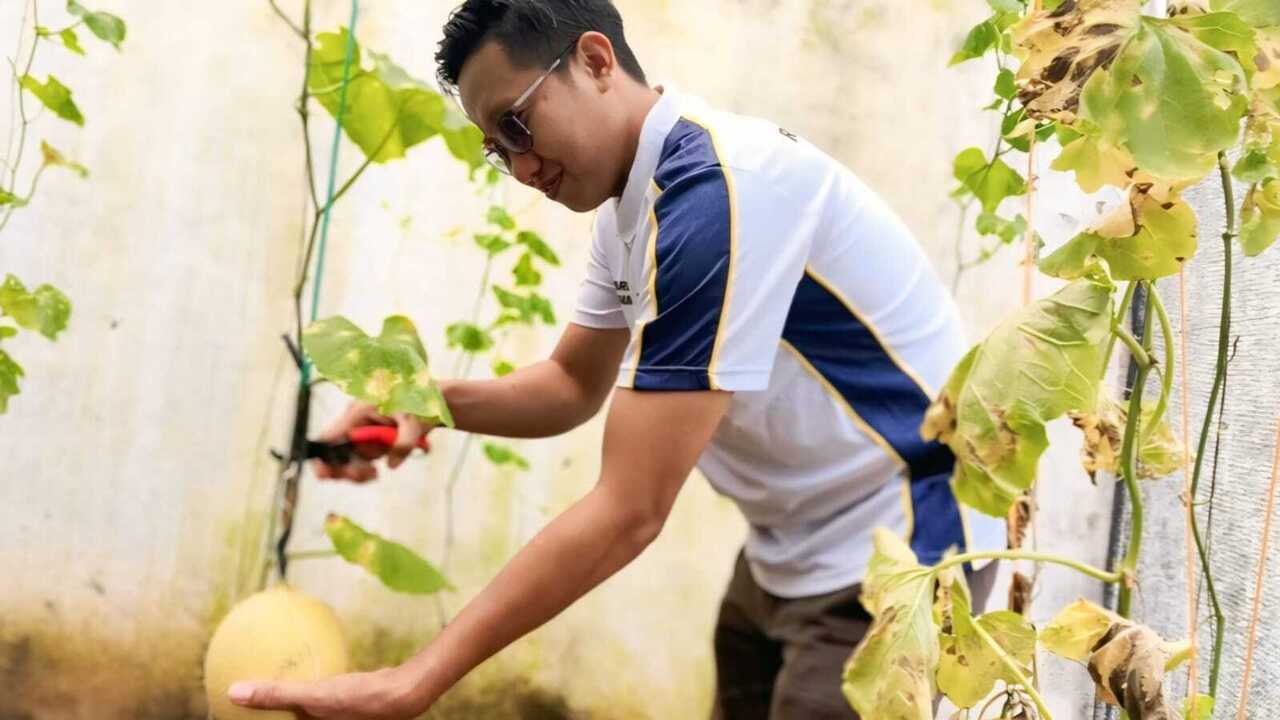 Rutan Baturaja Sulap Tembok Penjara Jadi Kebun Melon