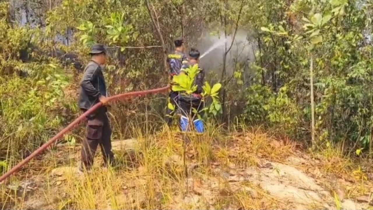Api Lahap 1 Hektare Lahan Berhasil Dijinakkan
