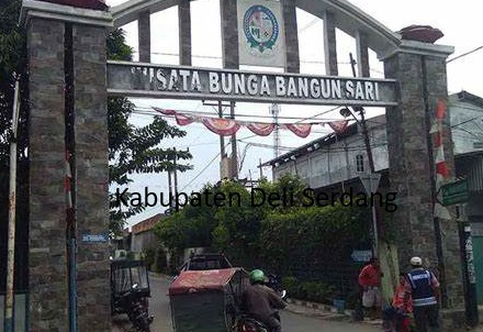 Potret Kabupaten Deli Serdang: Mengungkap Keunikan dan Potensi Ekonomi di Pantai Timur Sumatera Utara