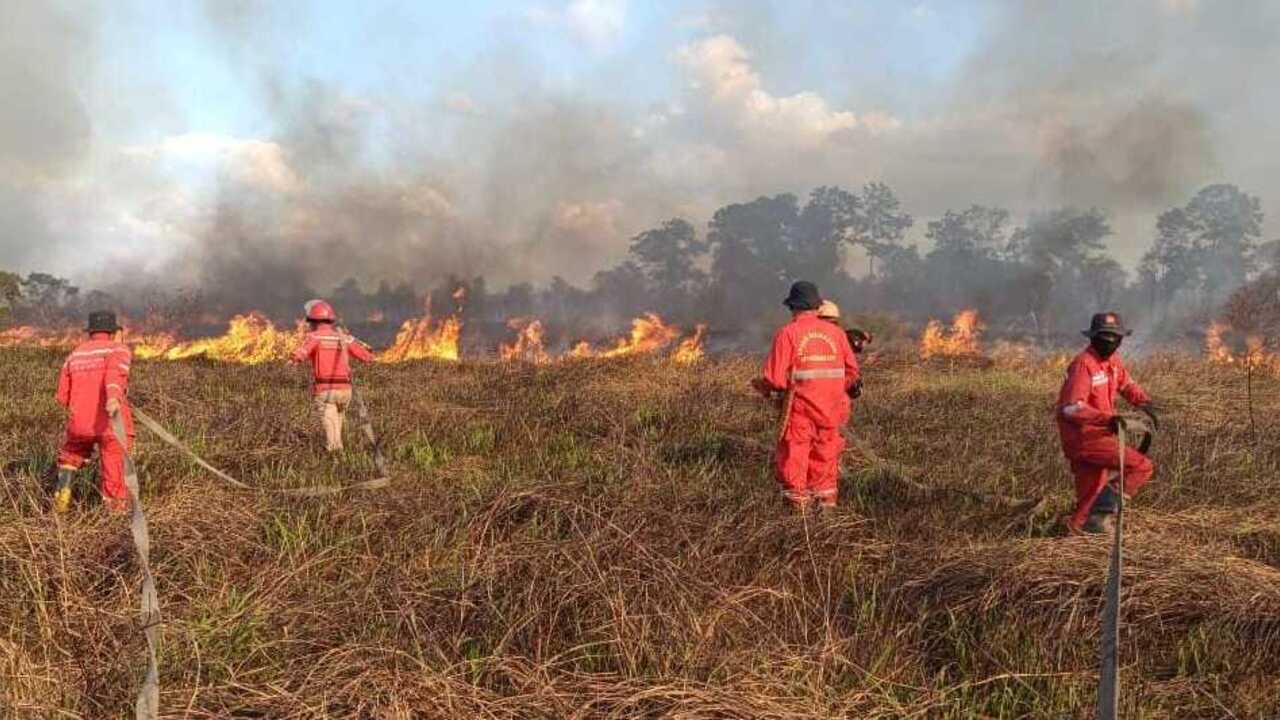 Kebakaran Kembali Terjadi di Ogan Ilir, Petugas Berjibaku Padamkan Api