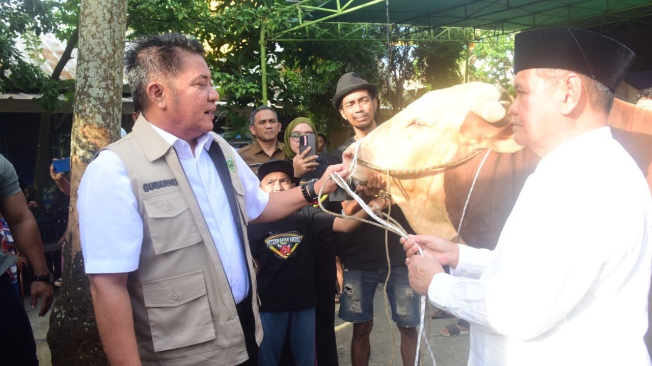 Herman Deru Salurkan Sapi Kurban 1,3 Ton untuk Masjid Agung Palembang