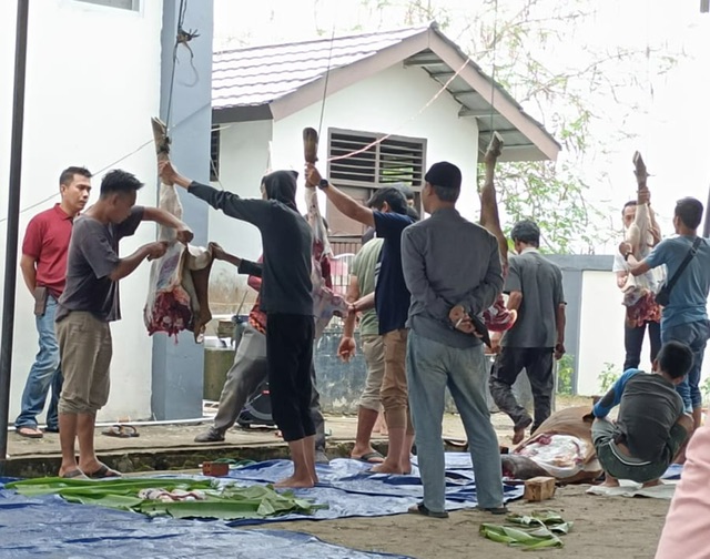 Diskominfo Muba Kurban 3 Sapi ,di bagikan ke TKK, Cleaning Service hingga Penjaga Kantor