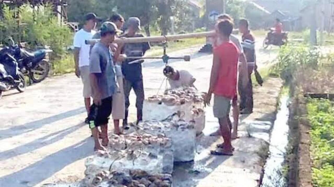 Harga Karet Turun, Petani di Lubuk Raja Minta Kemudahan Akses Pupuk