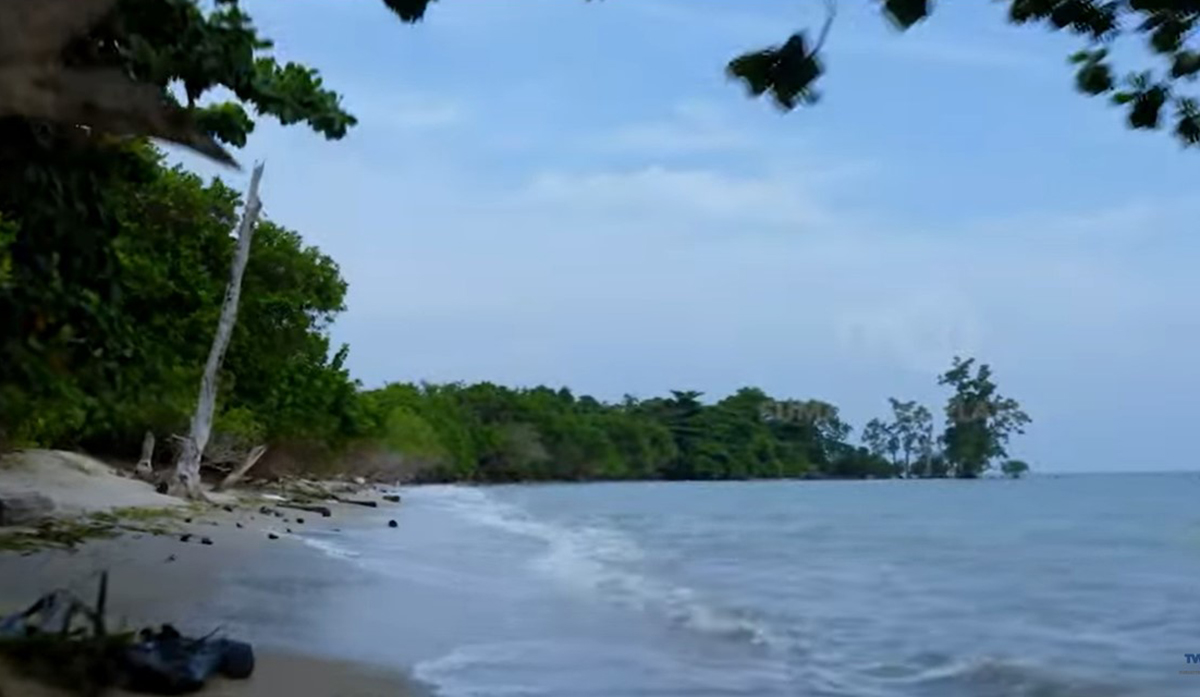 Aneh tapi Nyata, Satu-satunya Pulau di Dunia yang Tidak Ada Pohon Kelapa,  Ada di Sumatera Selatan ! 