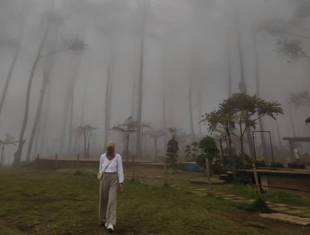 Keindahan Alam Perbukitan di Sumatera Barat, Nikmati Keindahan Danau Meninjau dari Puncak Lawang