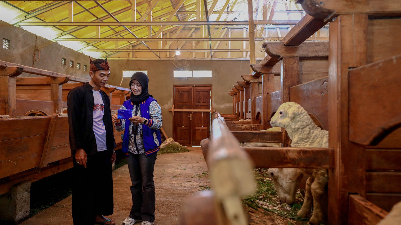 Idul Adha Jadi Momentum, BRI Peduli Tingkatkan Produktivitas Peternak Domba di Desa BRILiaN Sukalaksana Garut
