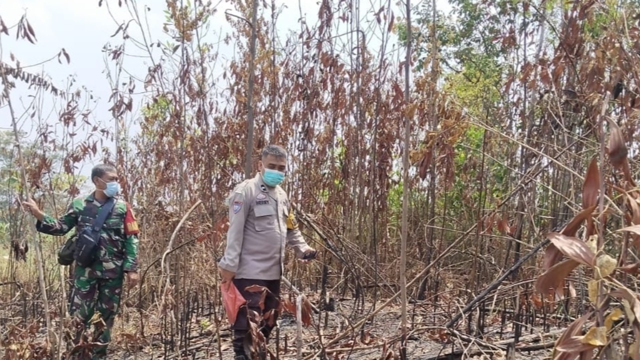 Sisir Perbatasan Cegah Karhutla