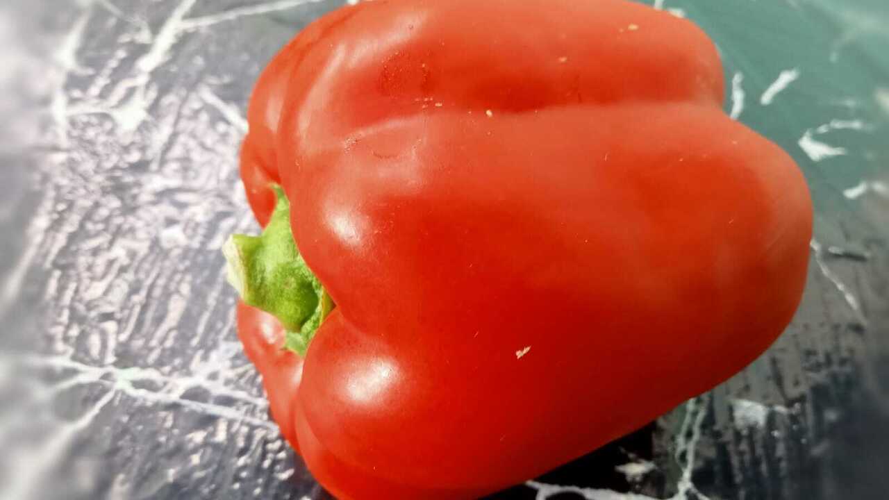 Paprika : Si Cabai Manis Penuh Warna Bantu Menjaga Fungsi Otak