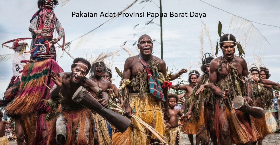 Rencana Pemekaran Wilayah Provinsi Papua Barat Daya: Membangun Harmoni dan Kemajuan di Negeri yang Indah