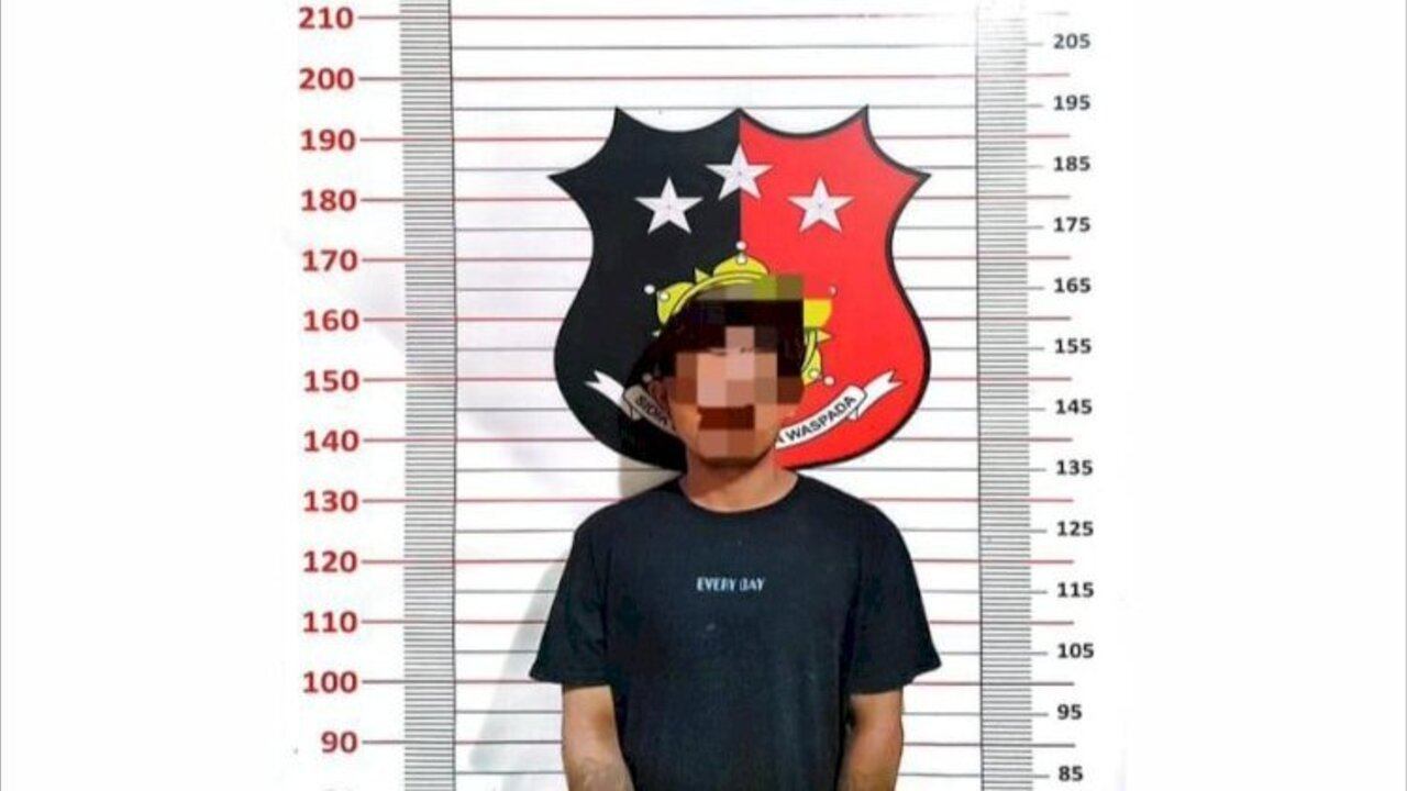 Kepergok Panen Ilegal, Pencuri Sawit PT Minanga Ogan Diringkus Polisi