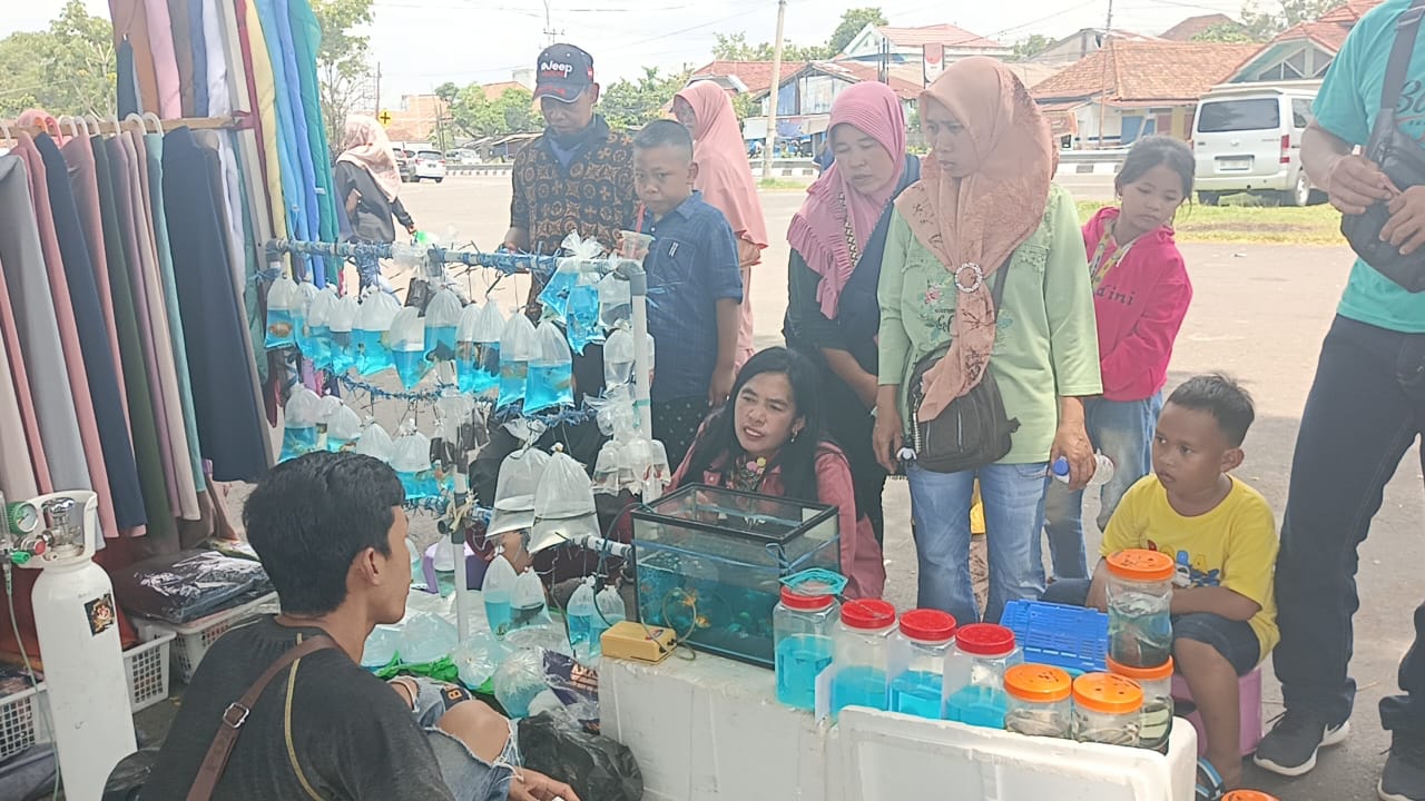 Penjual Ikan Hias di Kayuagung Banjir Rezeki, Segini Omsetnya!