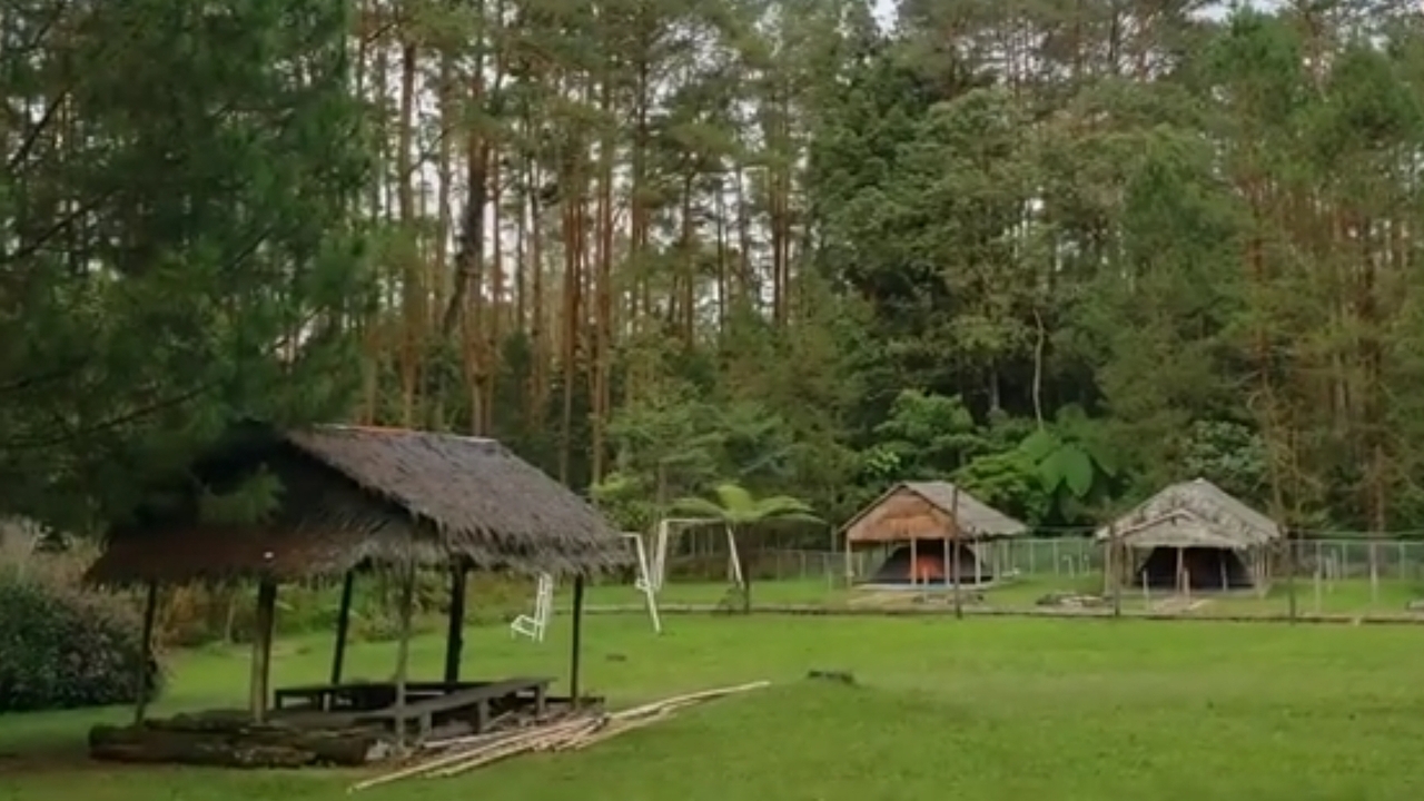Tahura Family Camp : Liburan Seru Bersama Keluarga di Tengah Hutan yang Asri