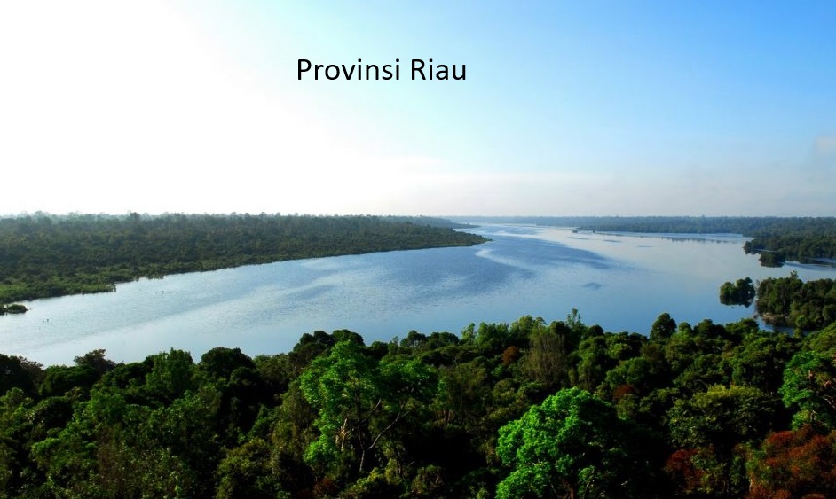 Pemekaran Daerah Otonomi Baru: Langkah Provinsi Riau Menuju Pembangunan Merata