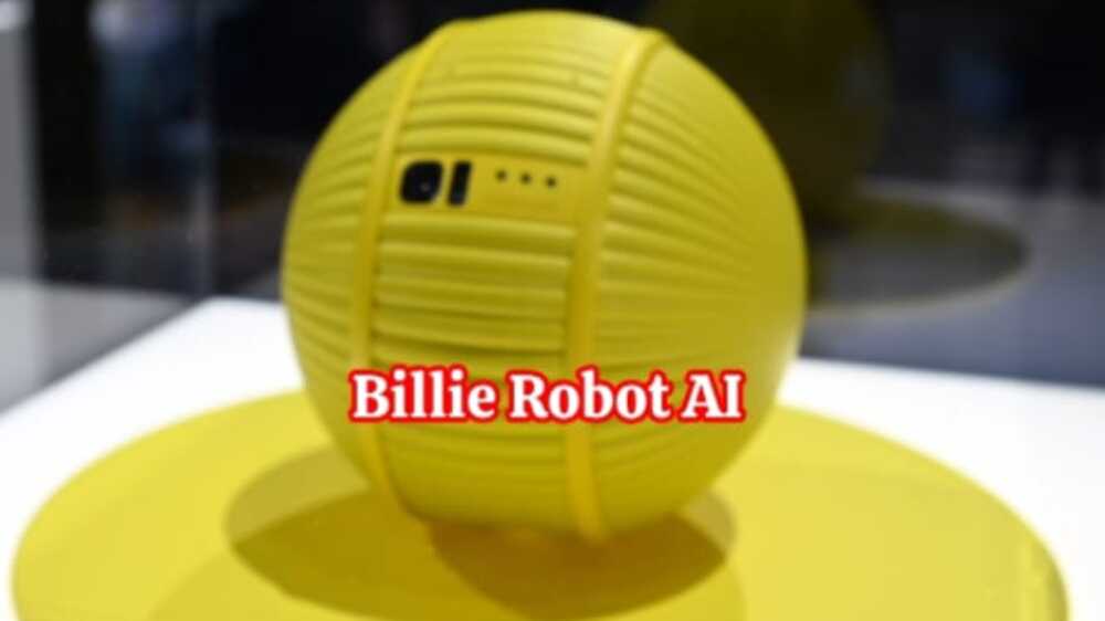 Ballie: Robot AI Berbentuk Bola dari Samsung yang Membawa Inovasi ke Dunia Kecerdasan Buatan