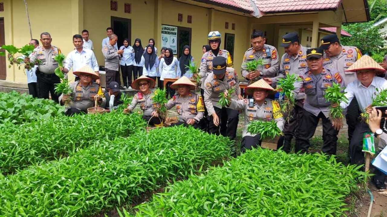 Program Pekarangan Pangan Bergizi: Polres Prabumulih Panen Sayuran di Halaman Rumah Dinas