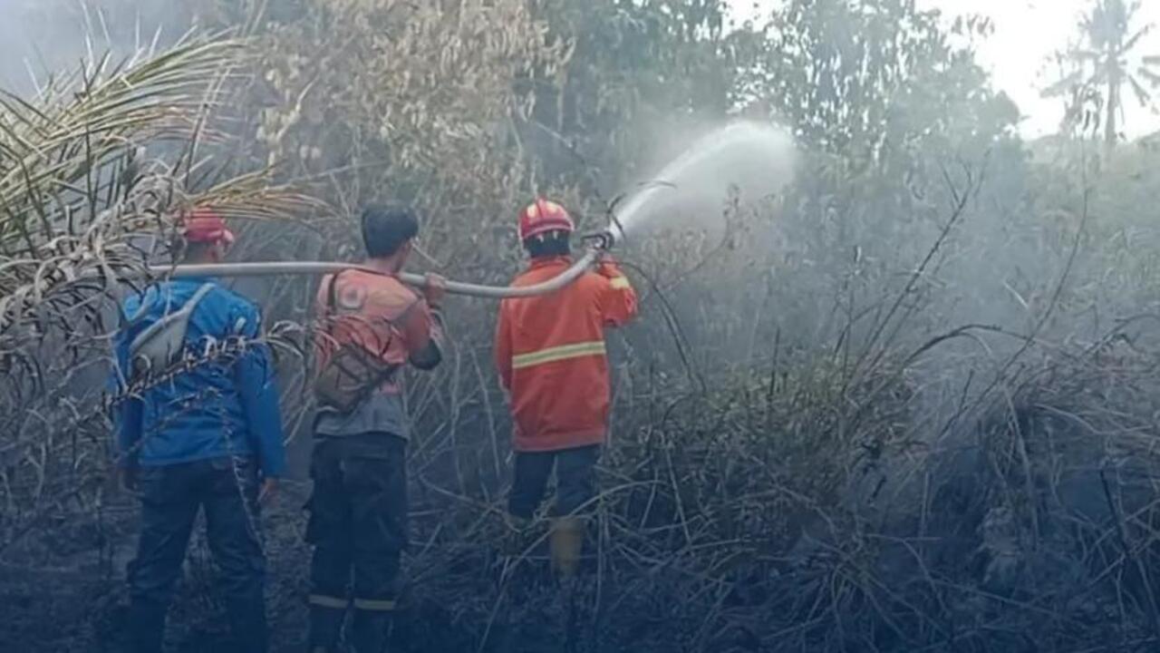 Karhutla Hanguskan Setengah Hektare Lahan di Talang Taling