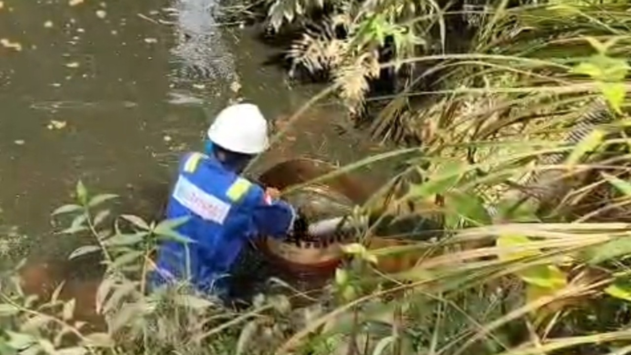 Diduga Tumpahan Minyak Tangki Penyimpanan PT SRMD Cemari Sungai dan Sumur Warga di Muratara