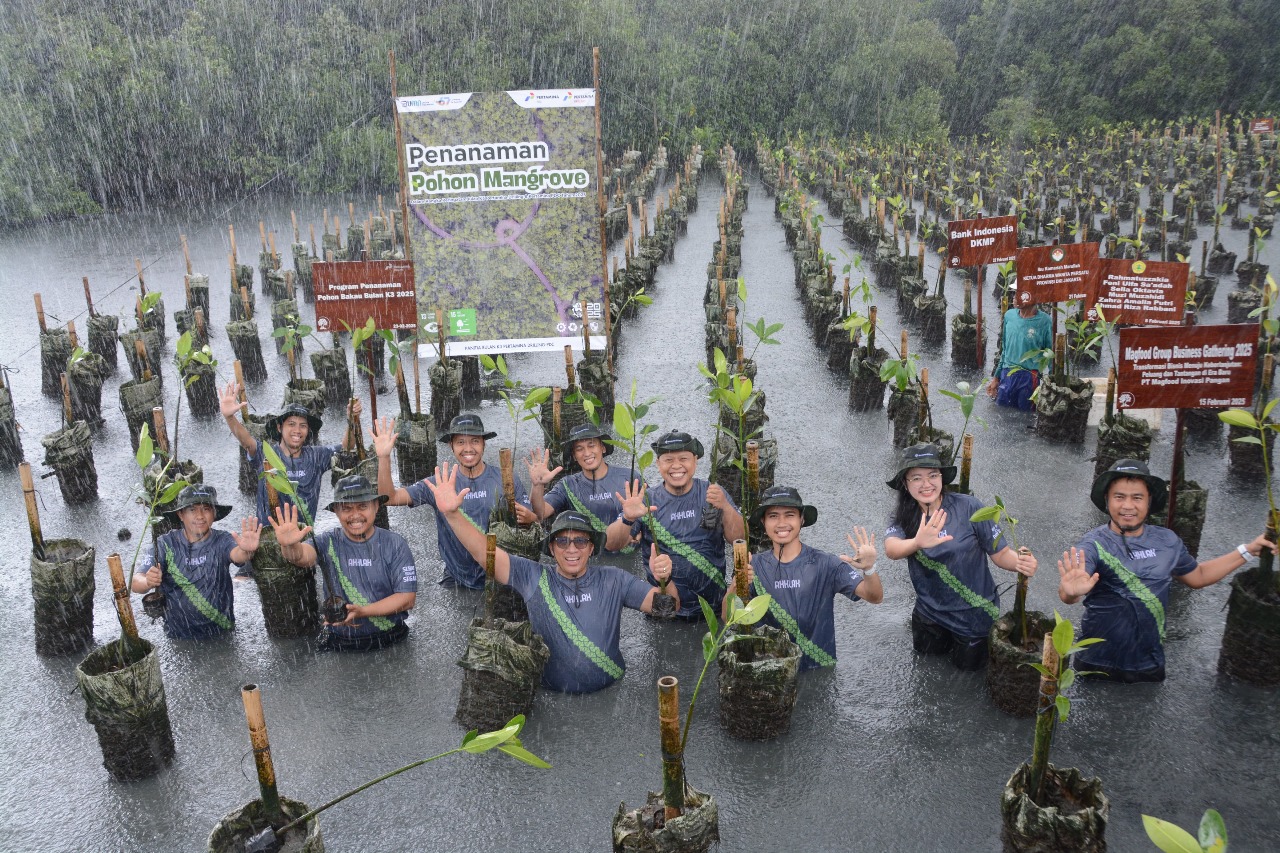 Komitmen Pelestarian Ekosistem, Pertamina Drilling Laksanakan Penanaman 1.000 Pohon Mangrove