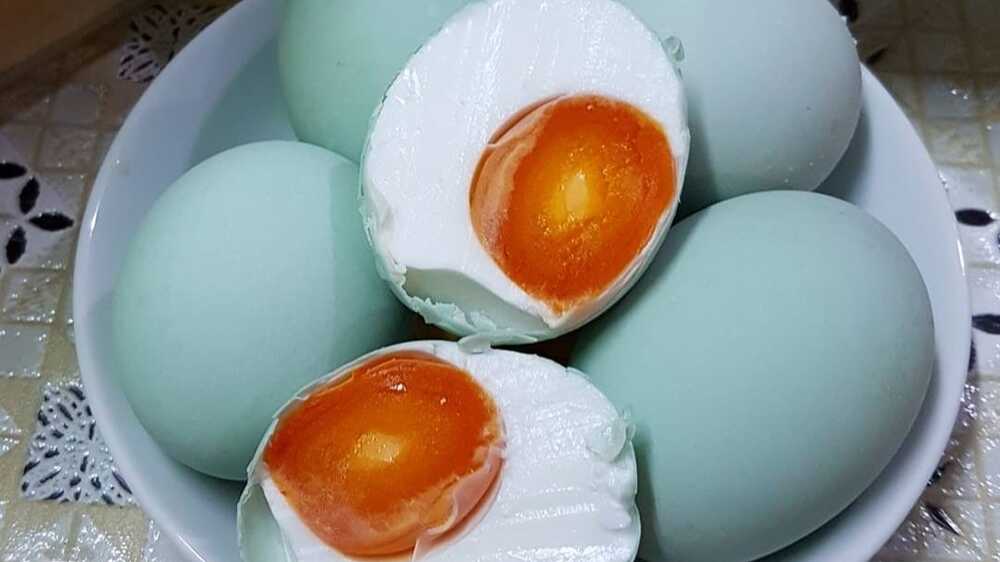 Apa Benar Telur Angsa Bisa Mempercepat Proses Kehamilan? Baca di Sini Jawabannya