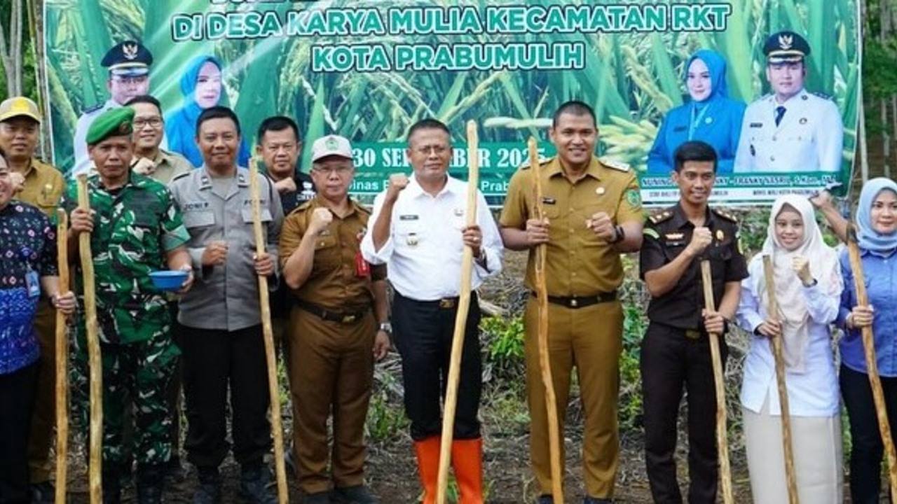 Pemkot Prabumulih Dorong Swasembada Pangan Lewat Penanaman Padi Gogo Sistem Tumpang Sari