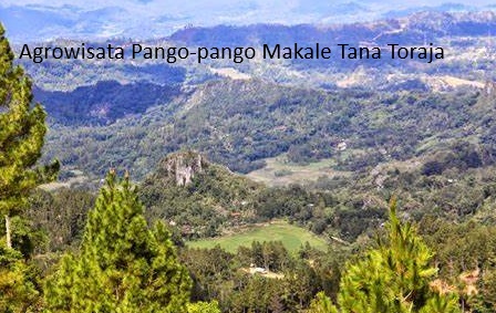 Pango-Pango Makale: Surga Tersembunyi di Dataran Tinggi Tana Toraja Provinsi Sulawesi Selatan