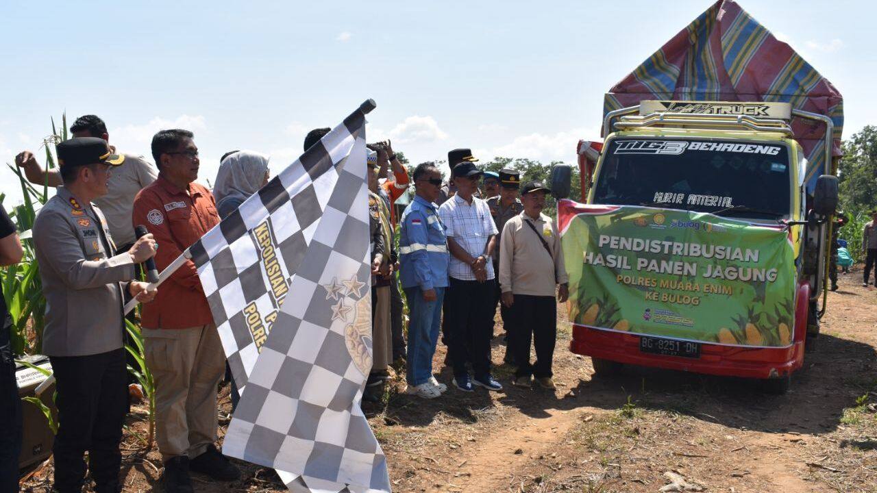 Panen Raya Jagung Serentak, Sukseskan Swasembada Pangan