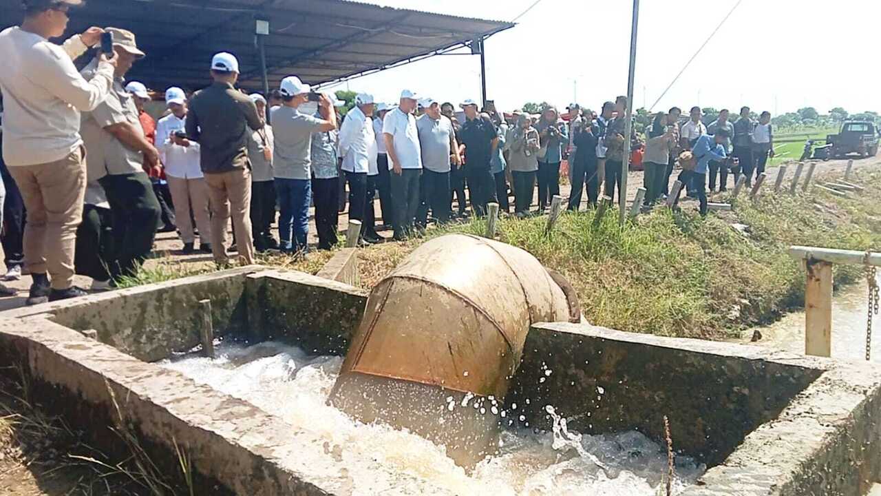 Ternyata Begini Tata Kelola Tanam Padi Lebak Yang Dikunjungi Mentri Pertanian Palestina