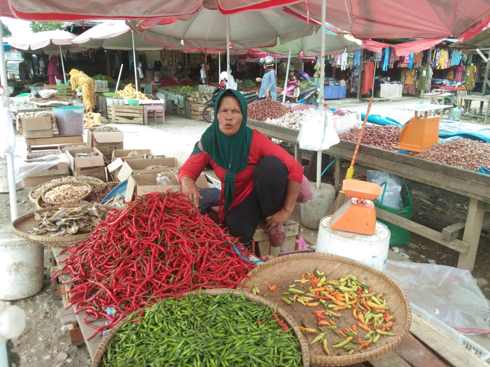 Pasca Nataru, Harga Cabai Di Muratara Masih Stabil