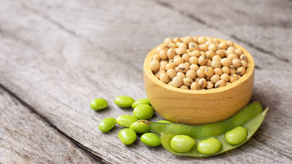 Manfaat Luar Biasa Kacang Kedelai: Protein Tinggi untuk Pertumbuhan dan Pemulihan Tubuh